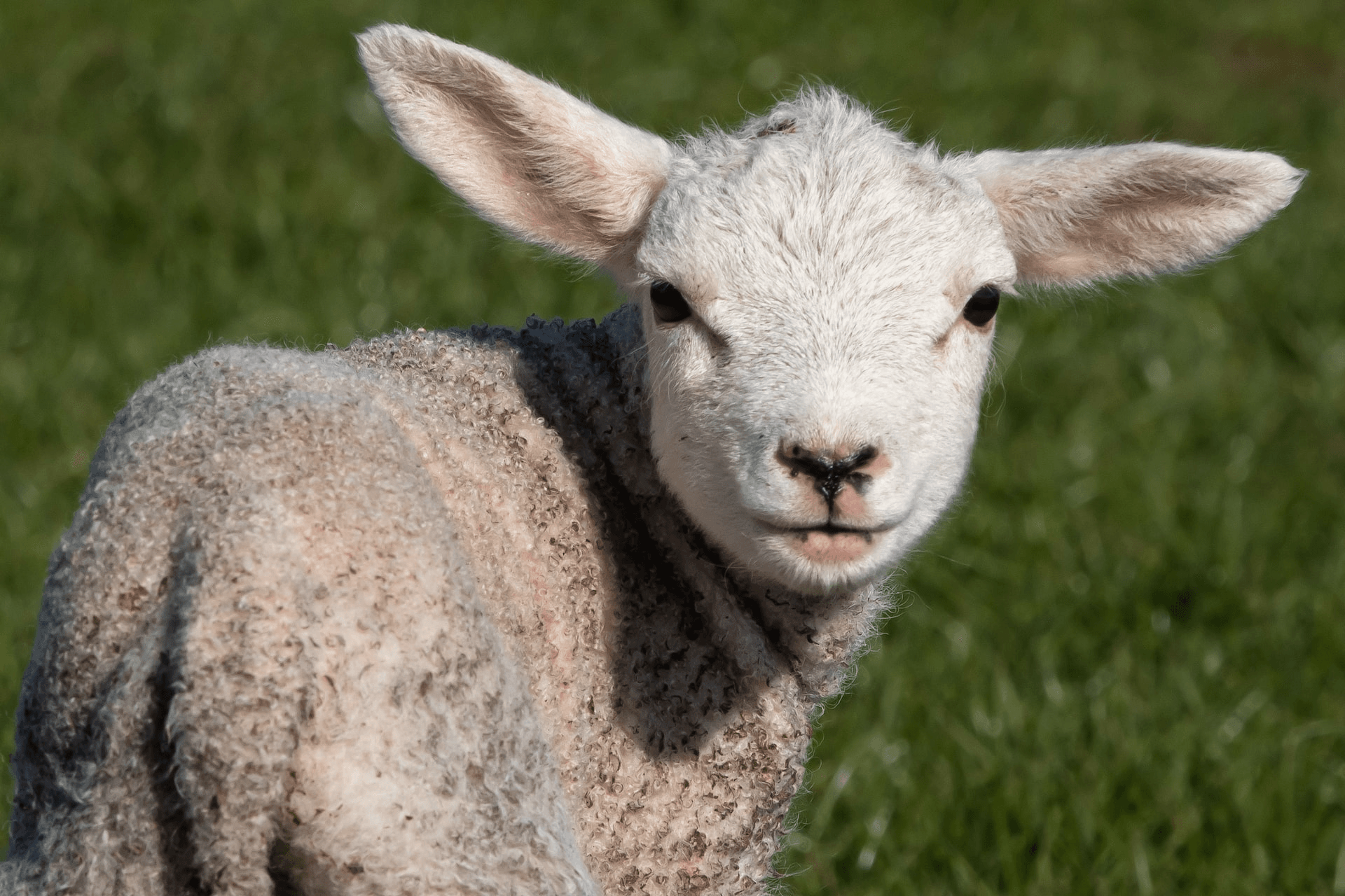 david-griffiths-J_tZg72cMw0-unsplash