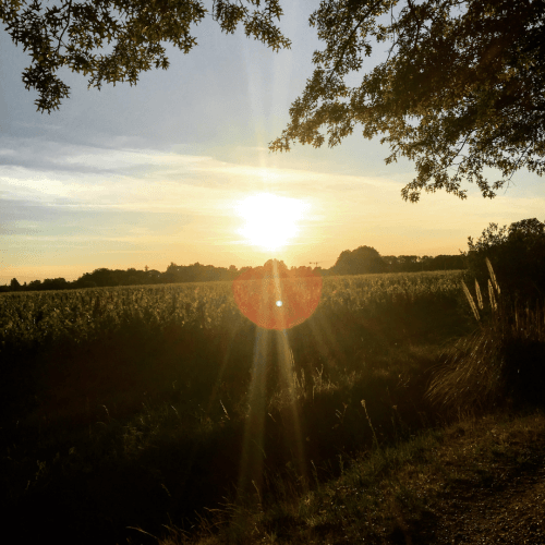 Coaching in de Natuur